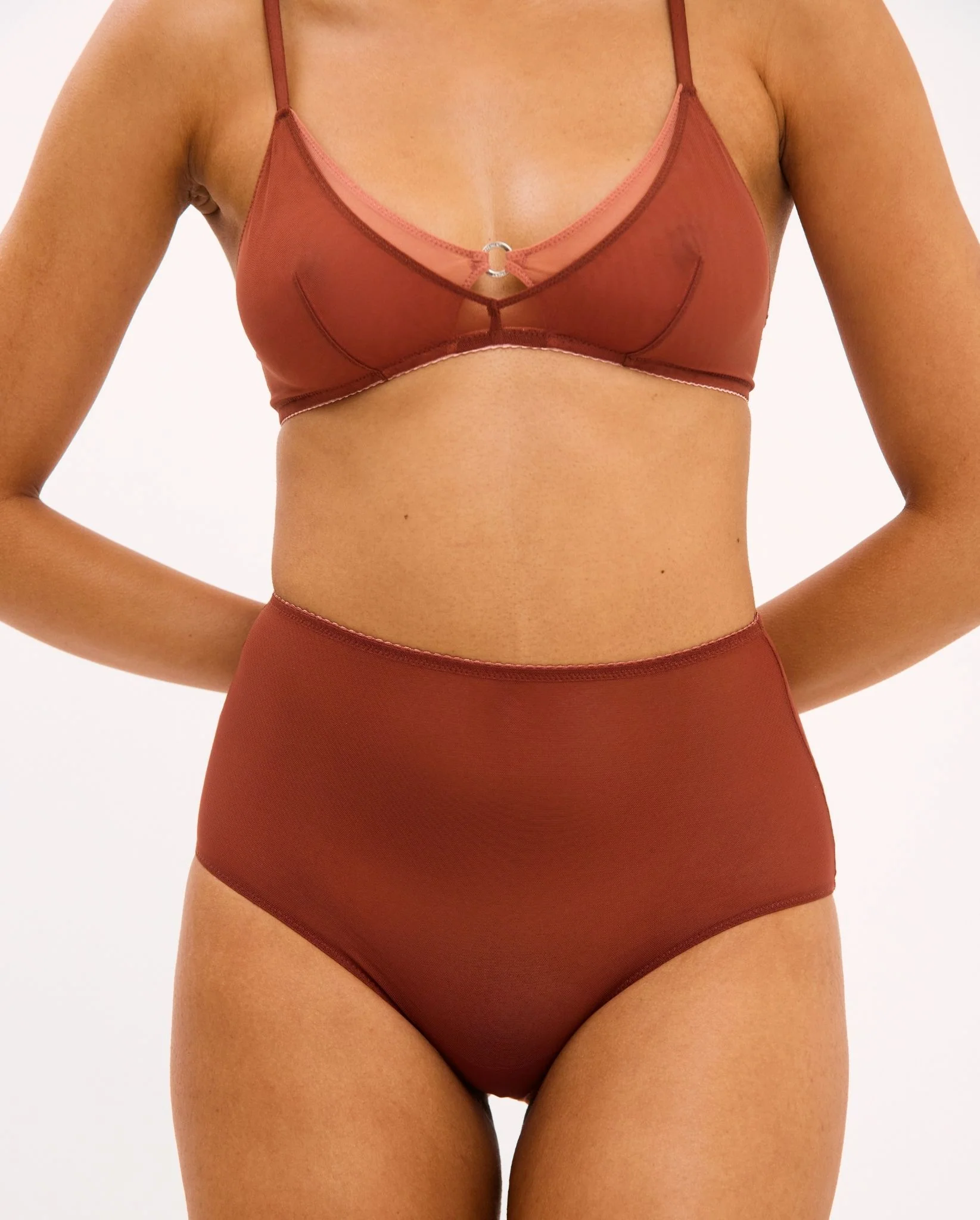 Mesh Highwaist Briefs Rust - Image 3